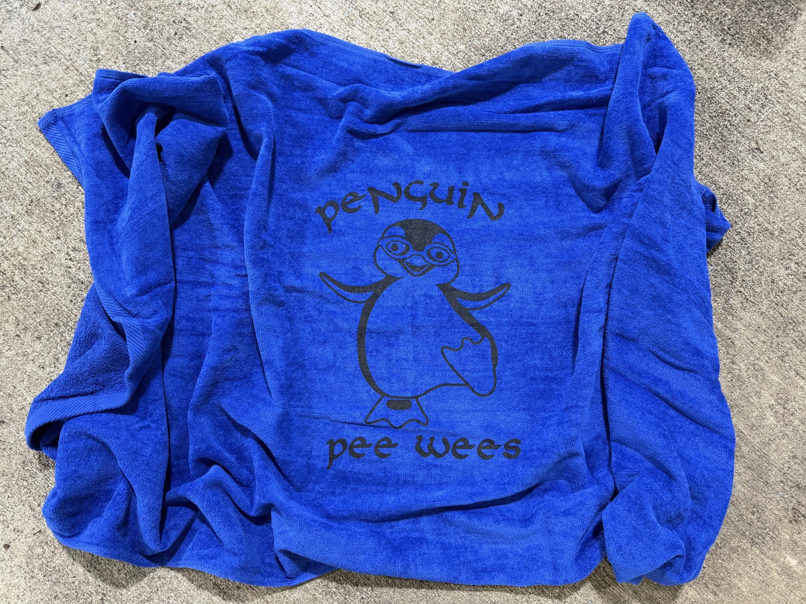 Blue 28" x 58" towel $10
